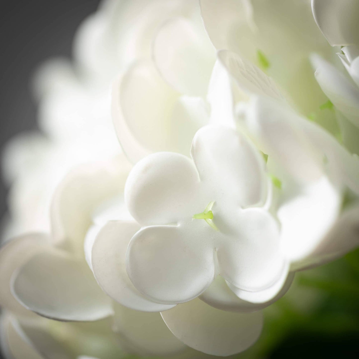 White Hydrangea Spray