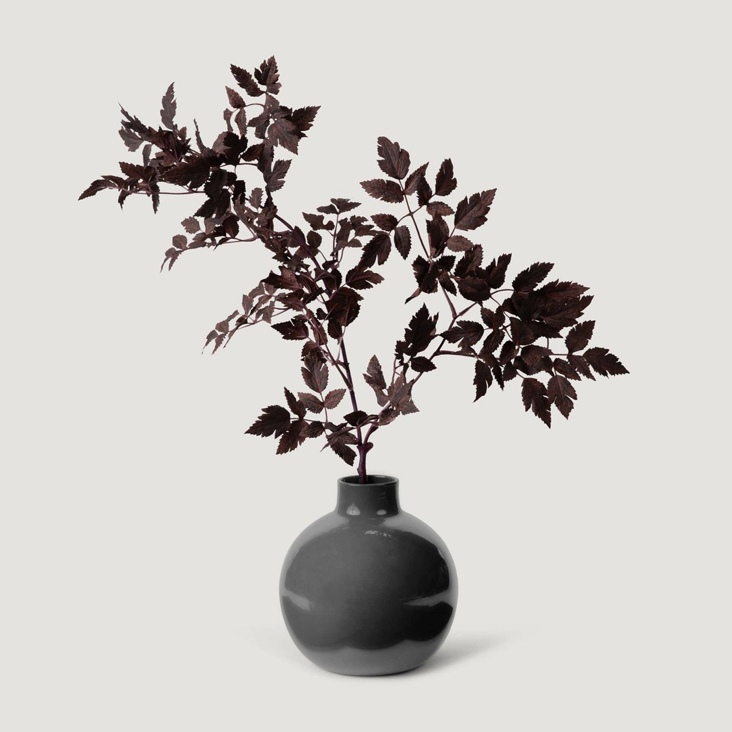 Artificial Cimicifuga Plant Leaves