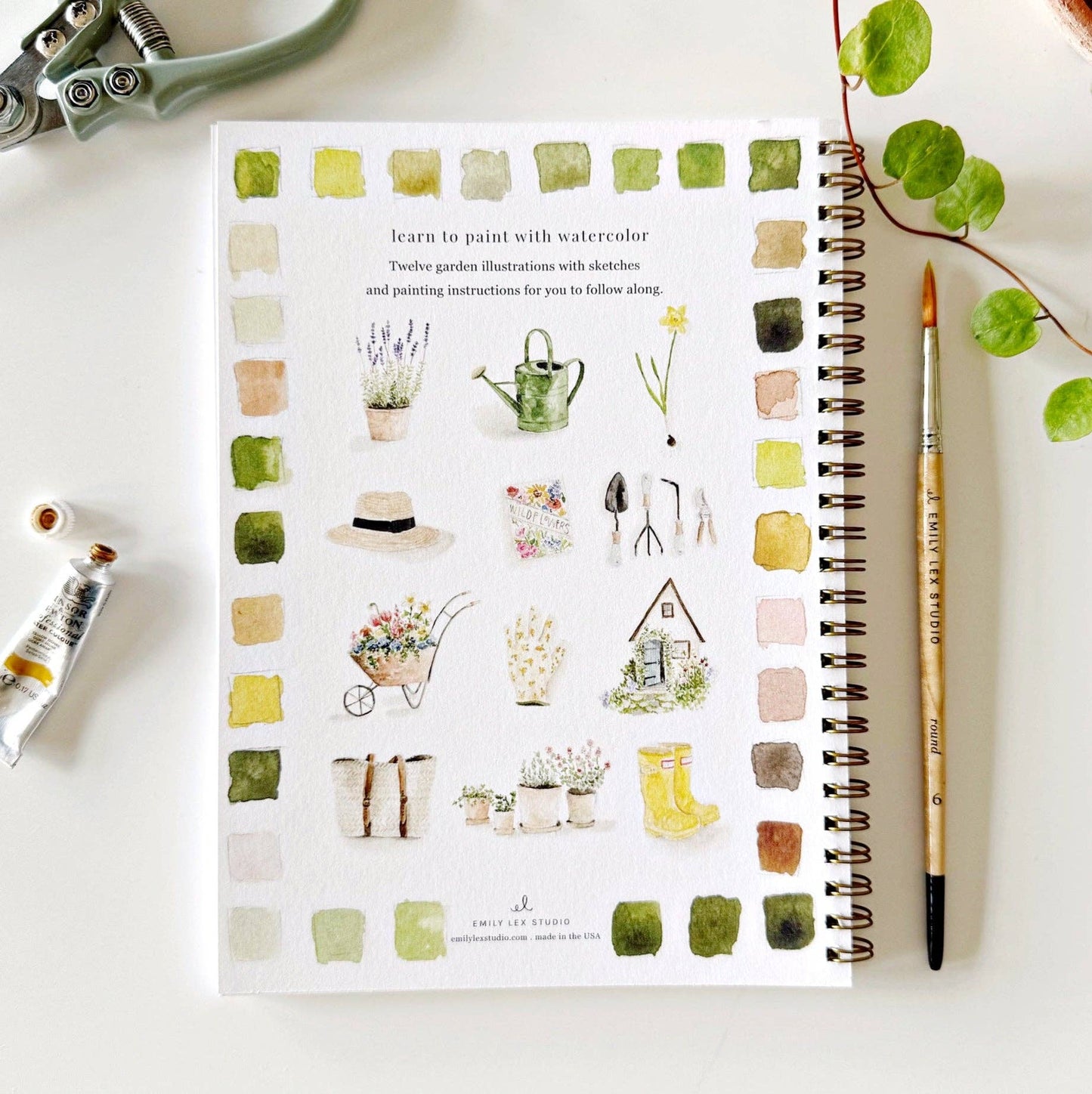 Watercolor Books