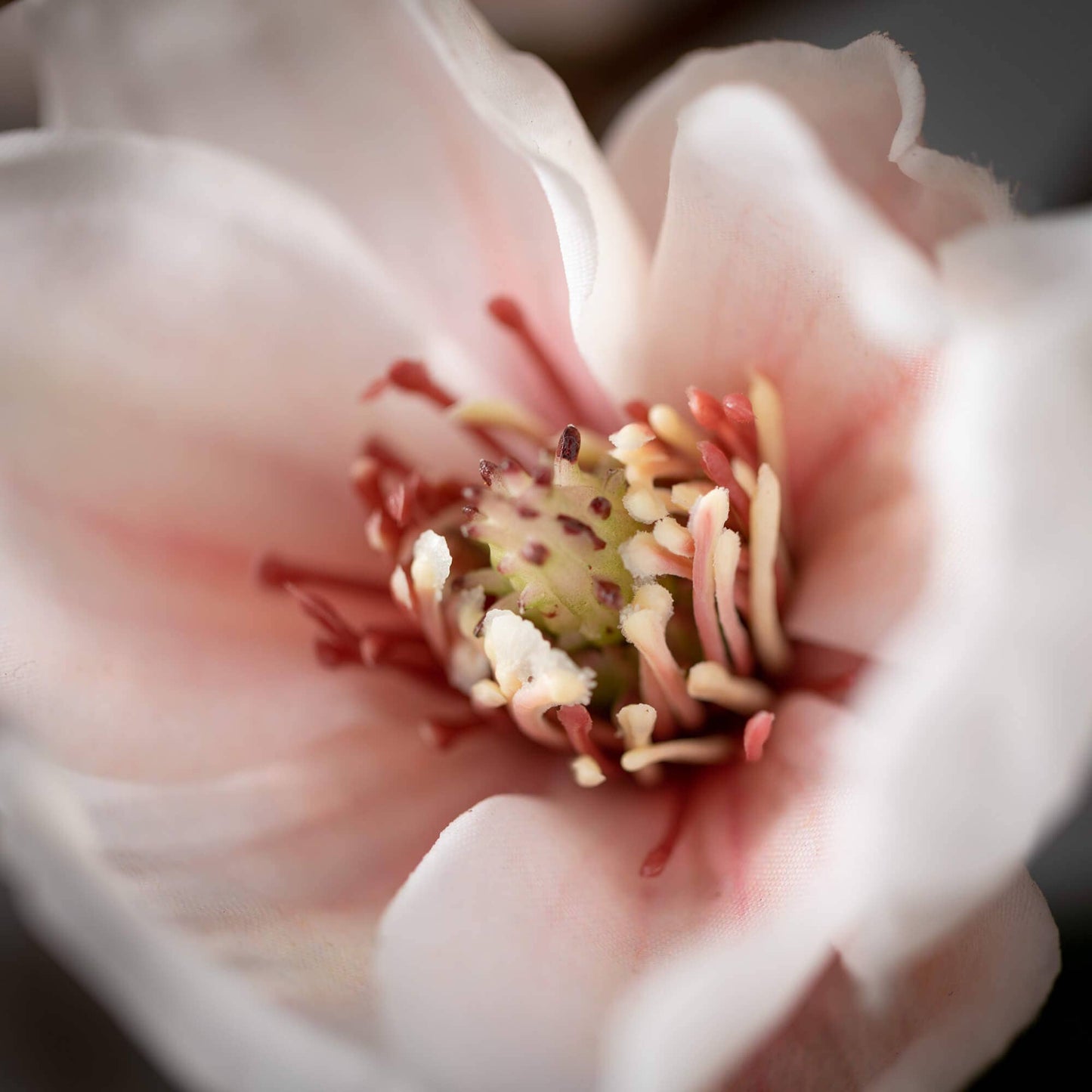 Faux Blush Magnolia Stem