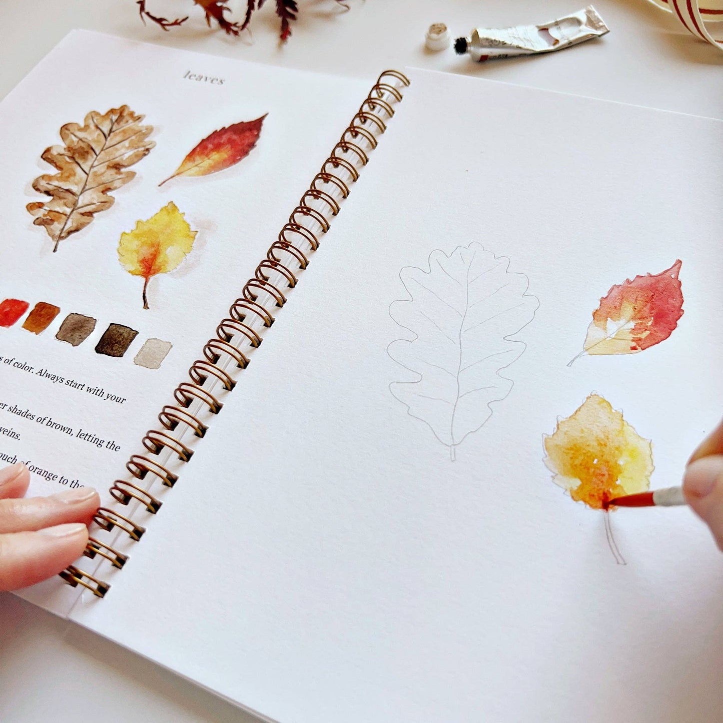 Watercolor Books
