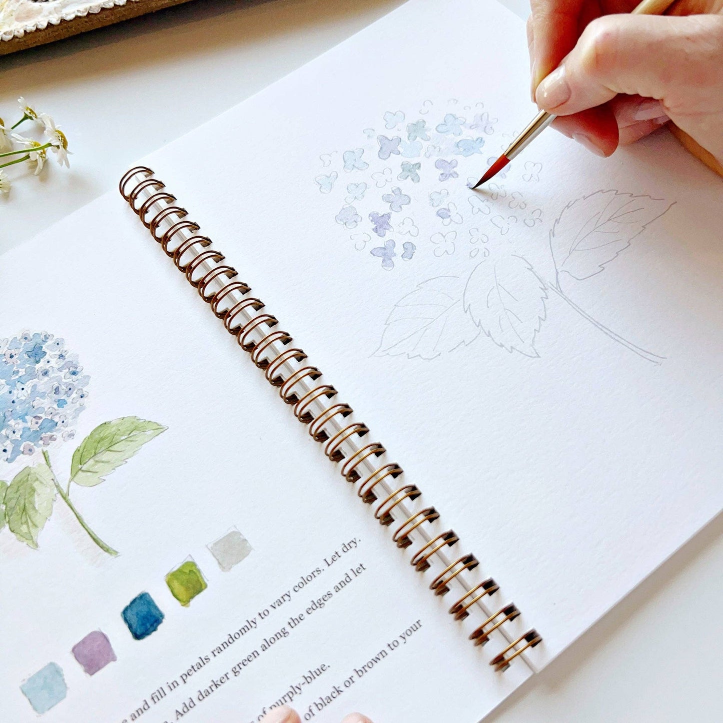 Watercolor Books
