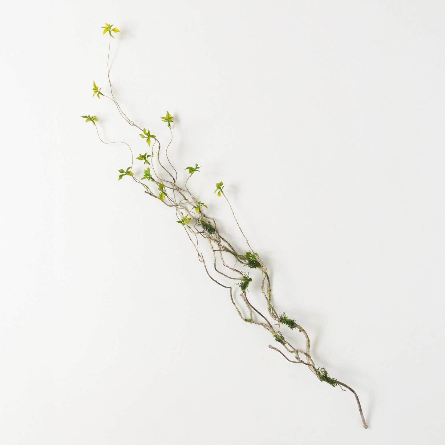 Branch And Foliage Spray