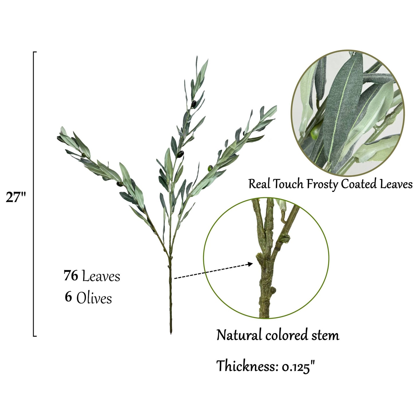 Realistic Olive Branch | Long Stem