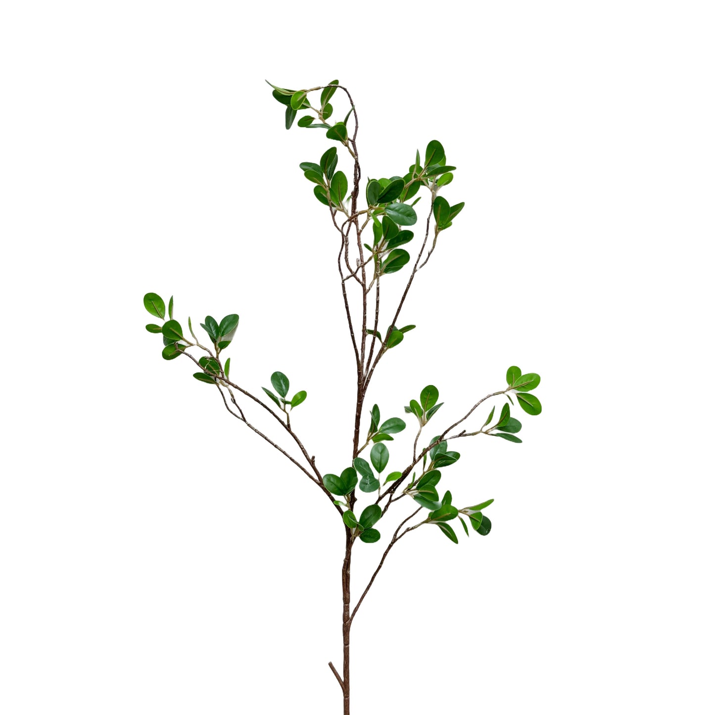 Artificial Real Touch Aglaia Odorata Spray