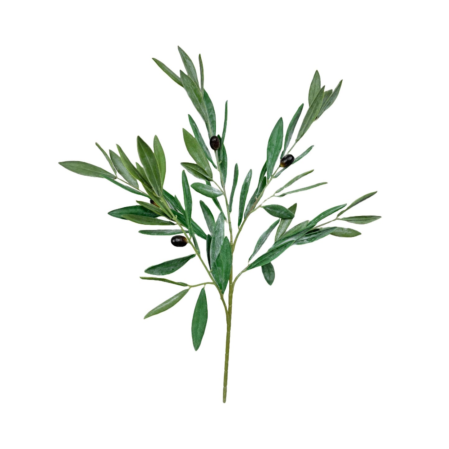 Olive Branch | 7"
