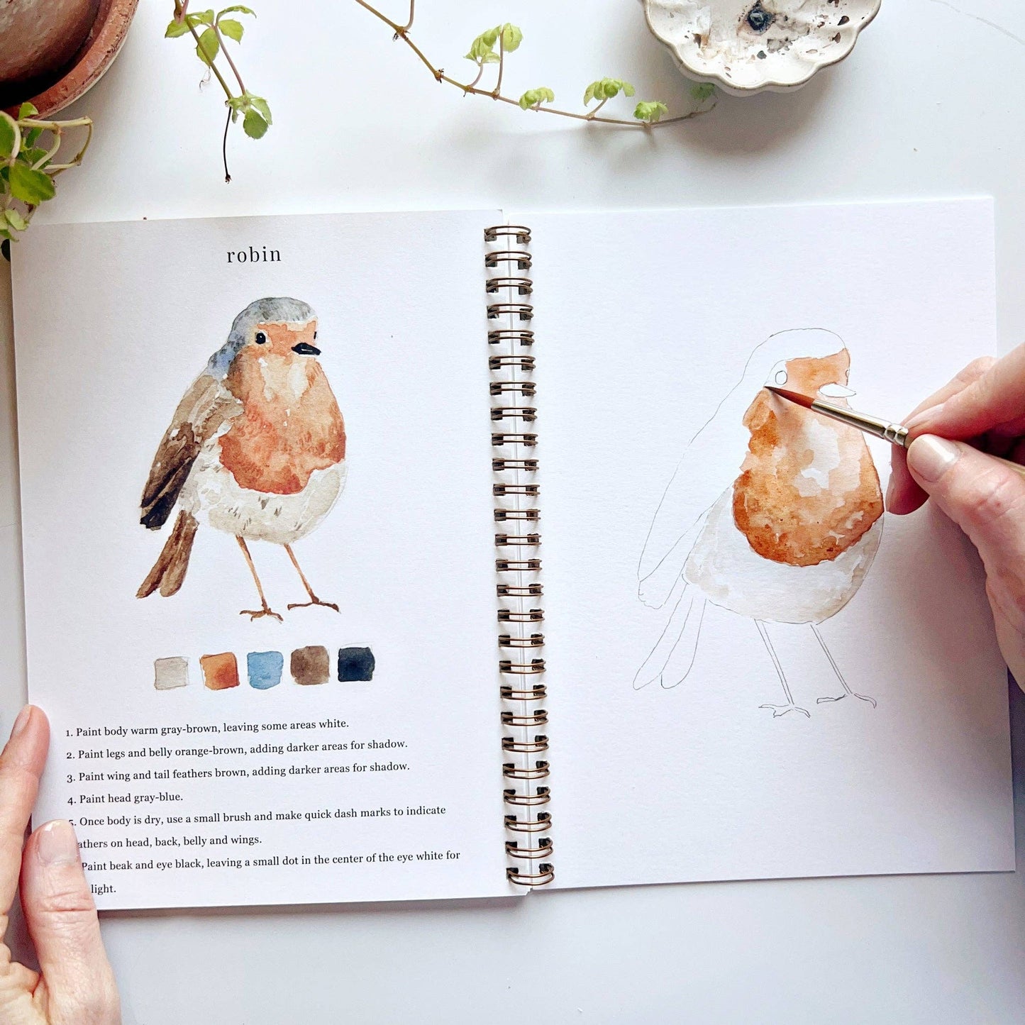 Watercolor Books