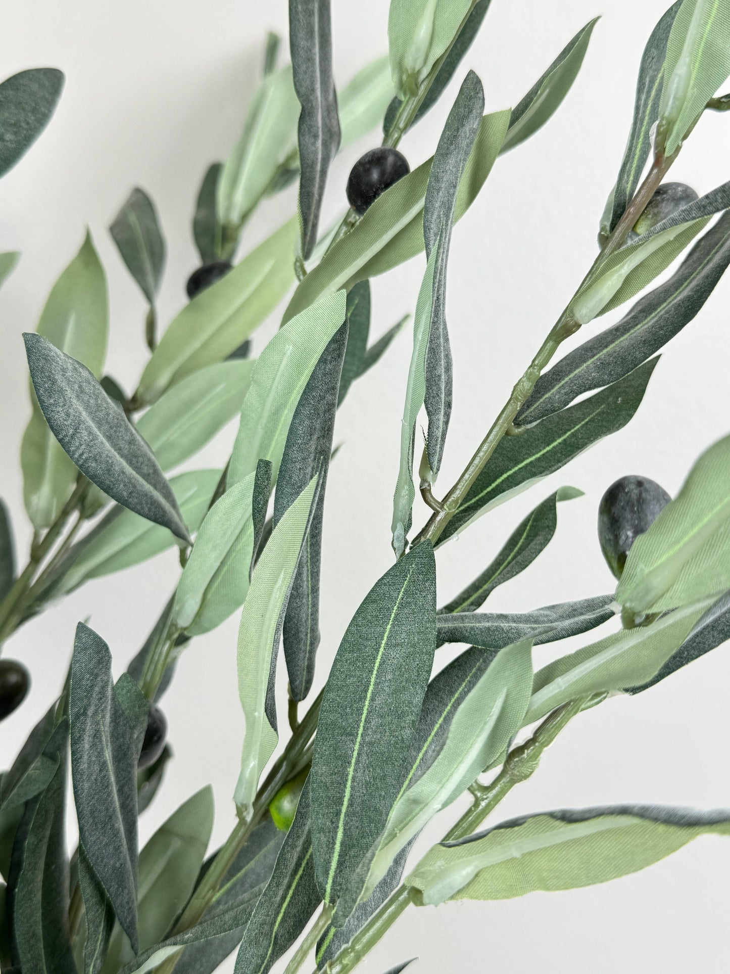 Realistic Olive Branch | Long Stem