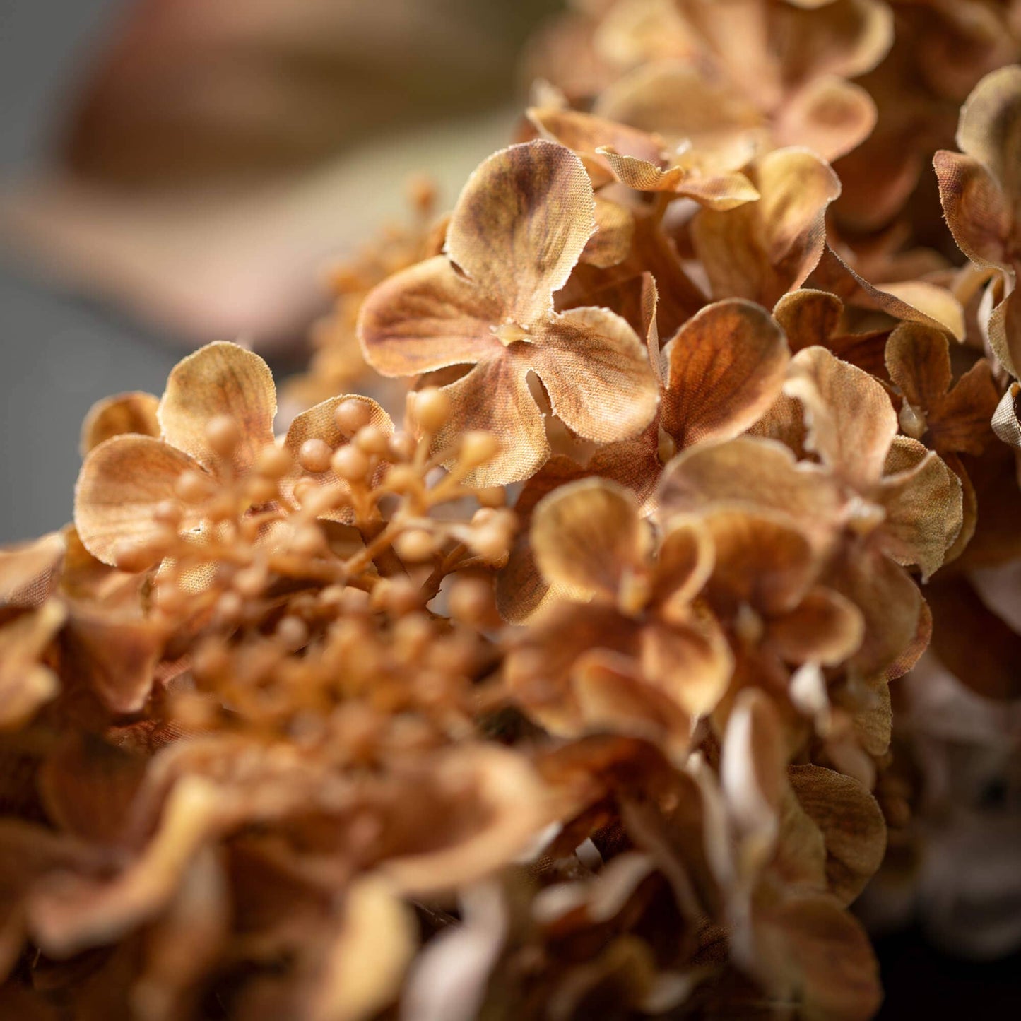 Hydrangea Spray | Brown