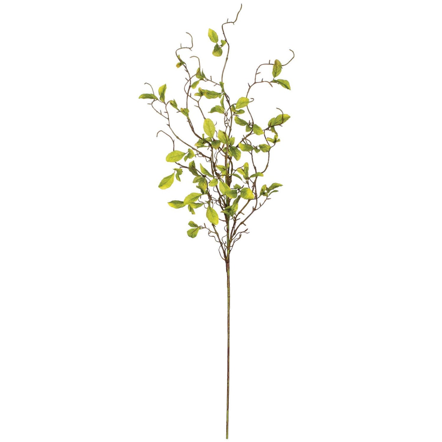 Leaf And Twig Spray
