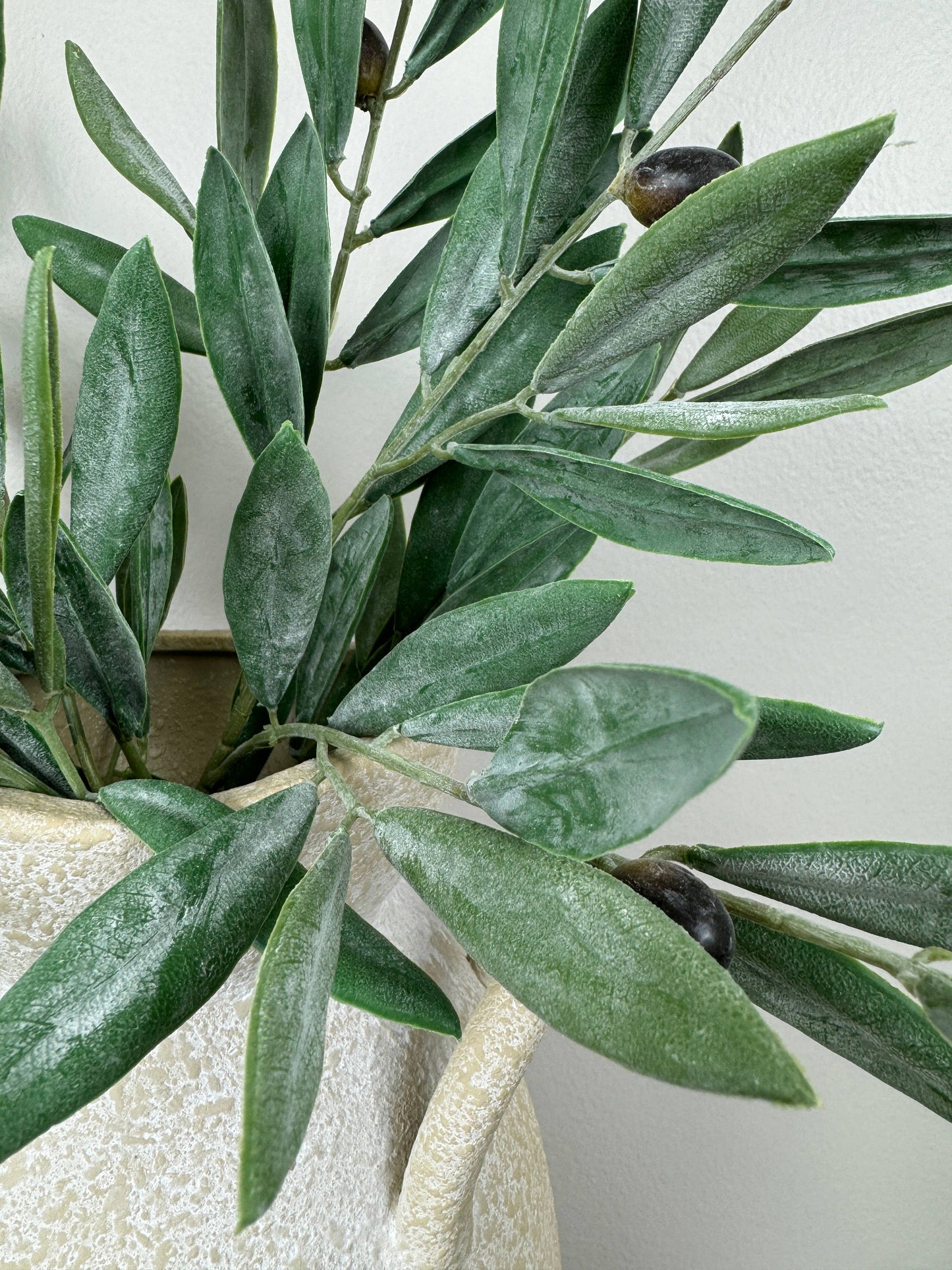 Olive Branch | 7"