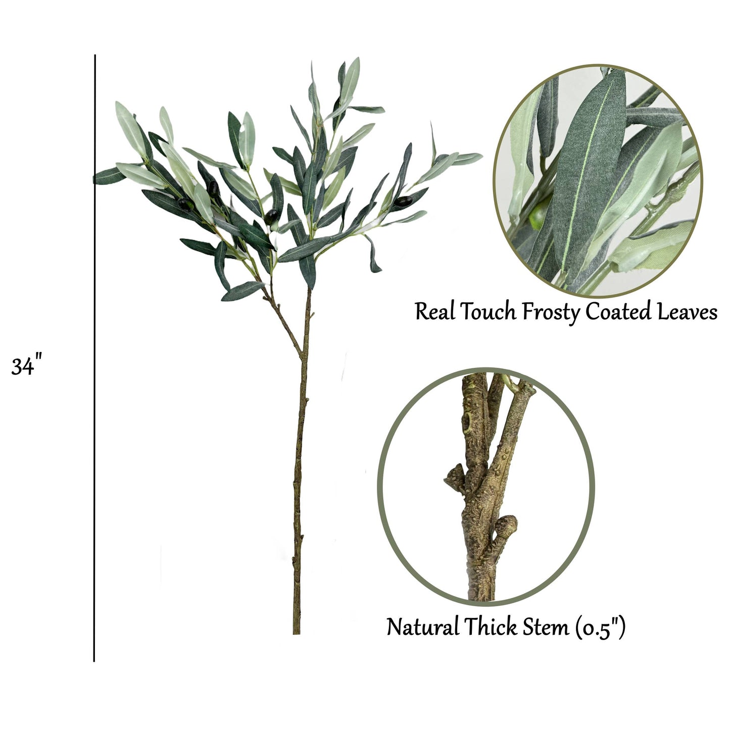Realistic Olive Branch | Long Stem