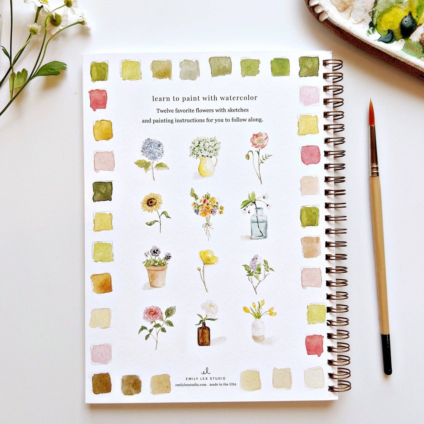Watercolor Books