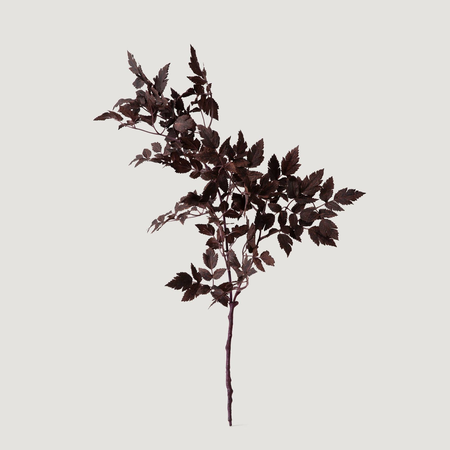 Artificial Cimicifuga Plant Leaves