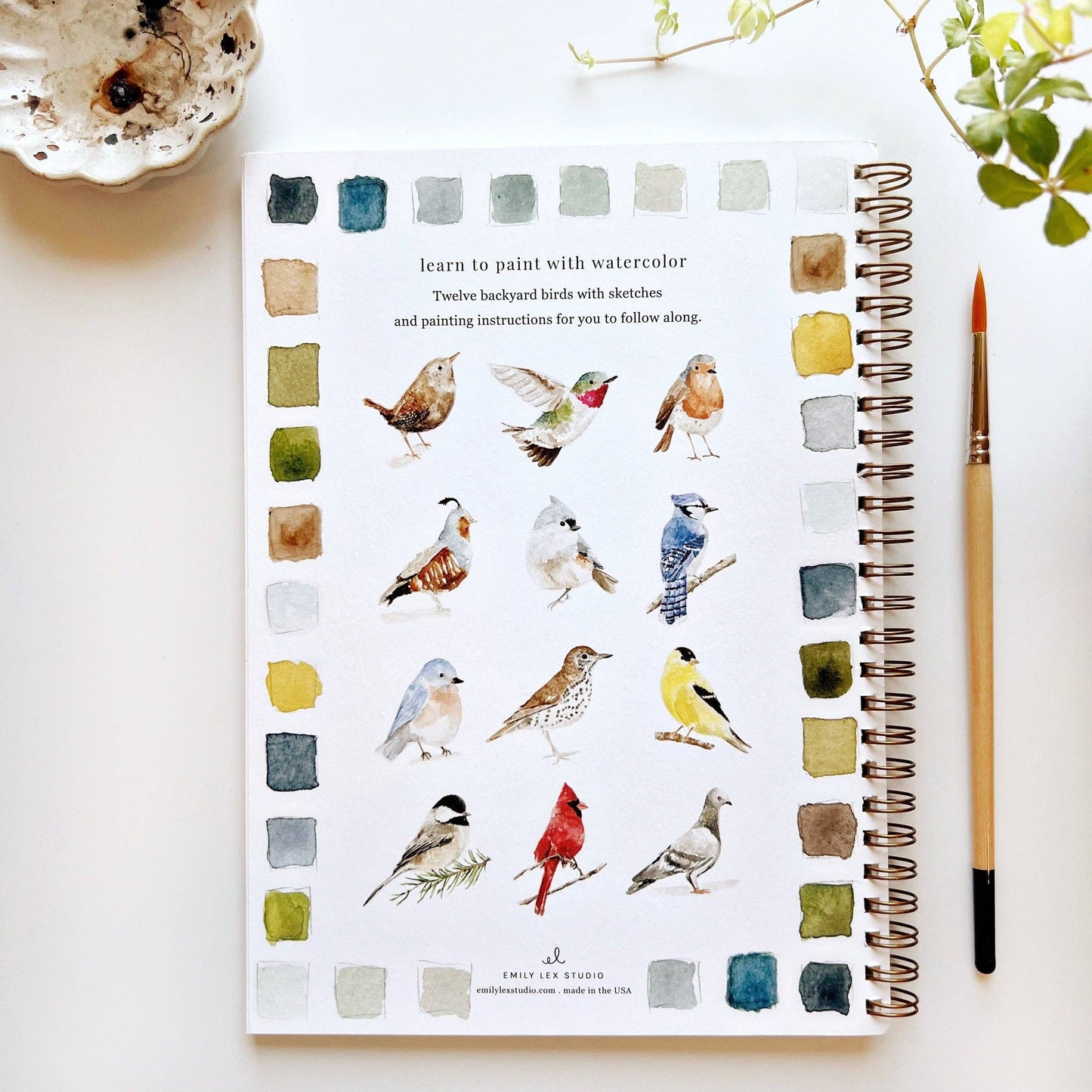 Watercolor Books