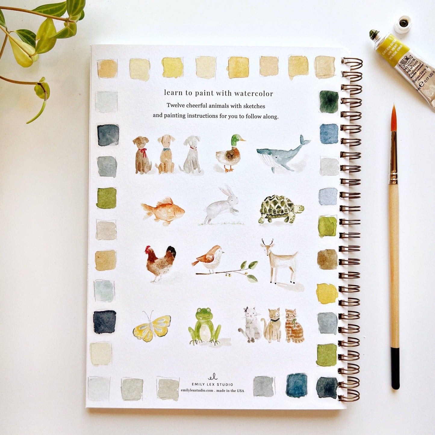 Watercolor Books