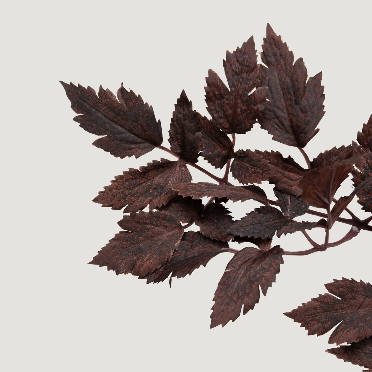 Artificial Cimicifuga Plant Leaves