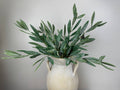Olive Branch | 7"