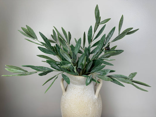 Olive Branch | 7"