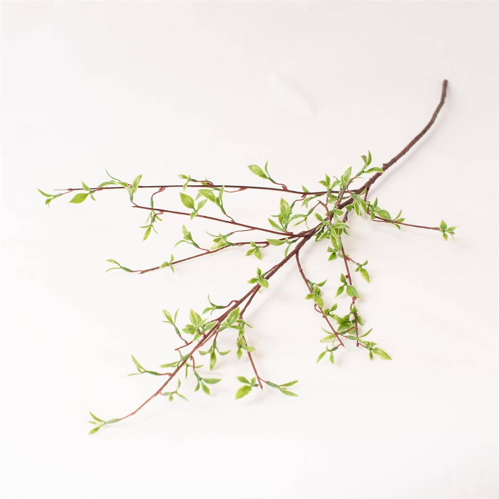 Willow Buds