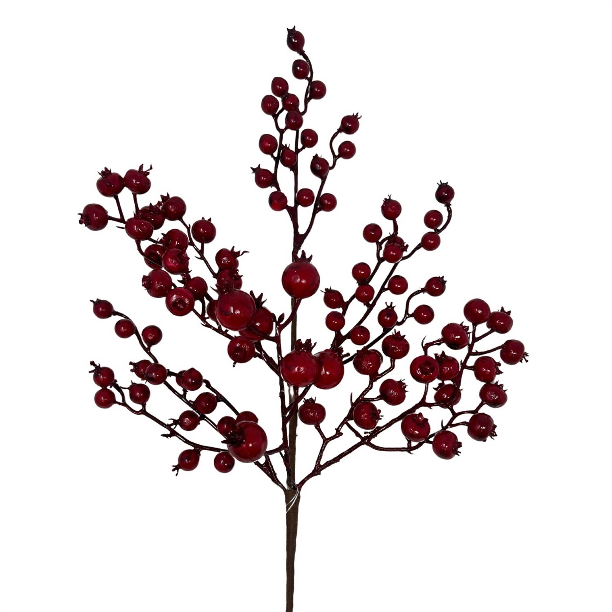 Apple Berry Spray