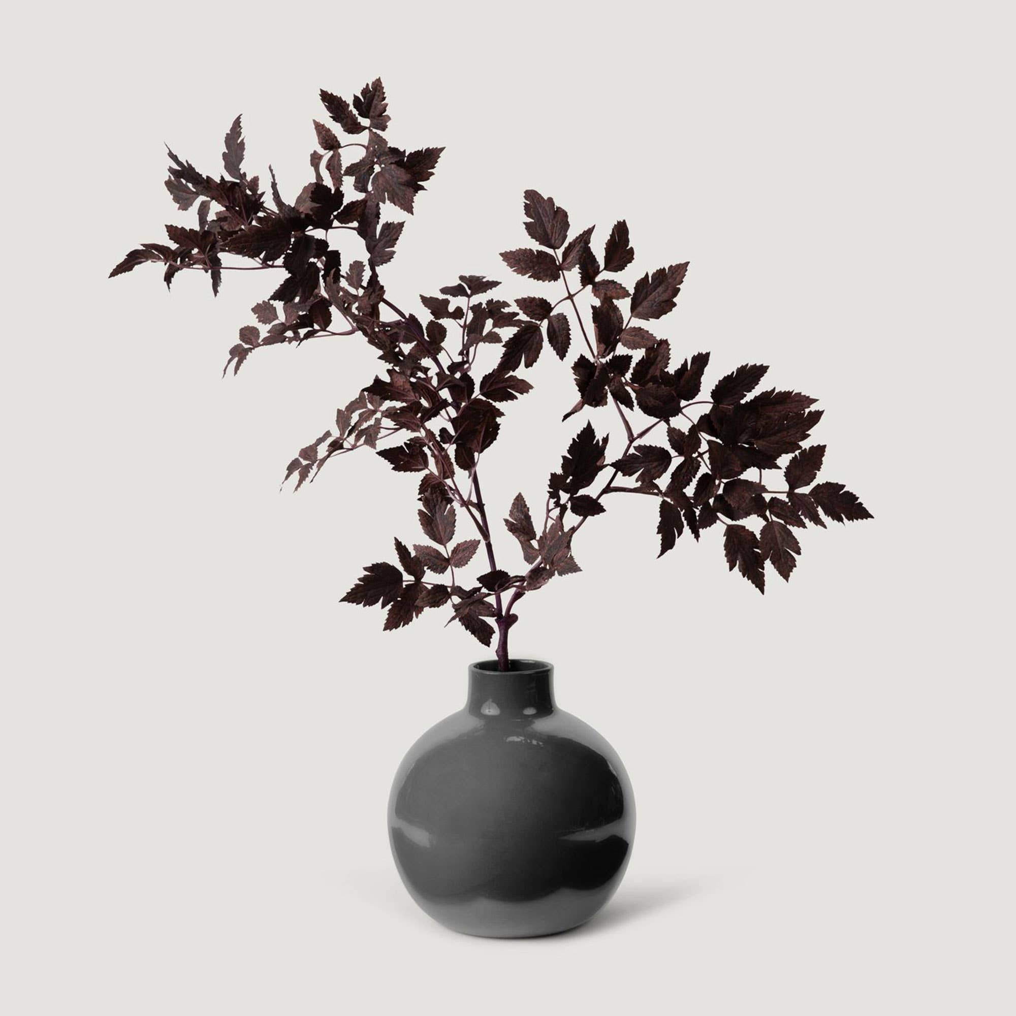 Artificial Cimicifuga Plant Leaves