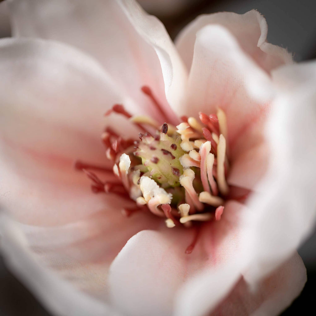 Faux Blush Magnolia Stem