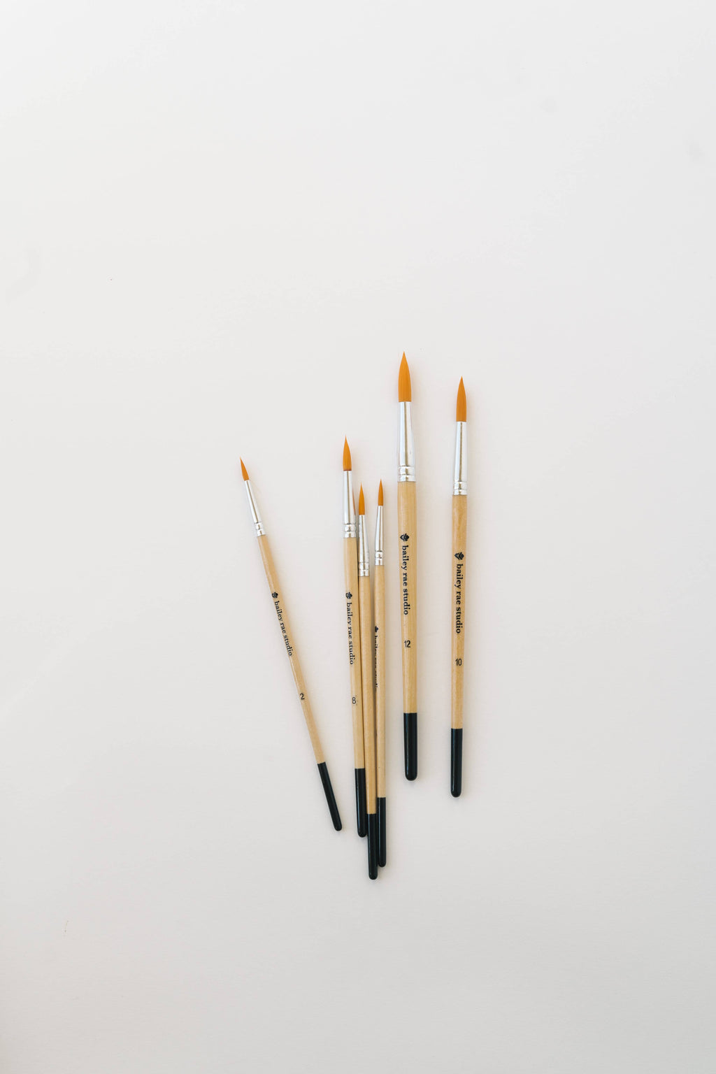 Watercolor Brush Collection