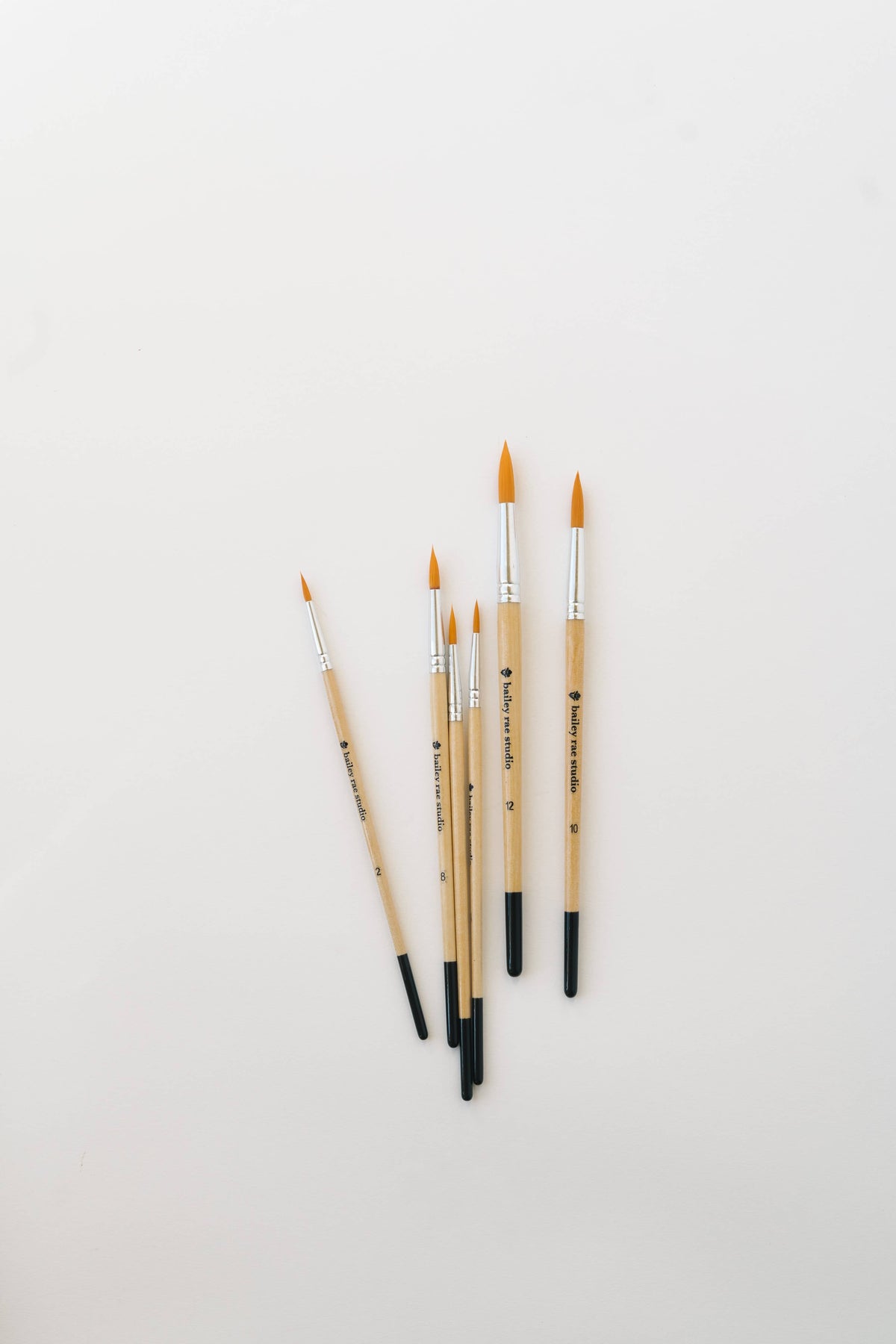 Watercolor Brush Collection