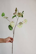 Faux Monstera Spray