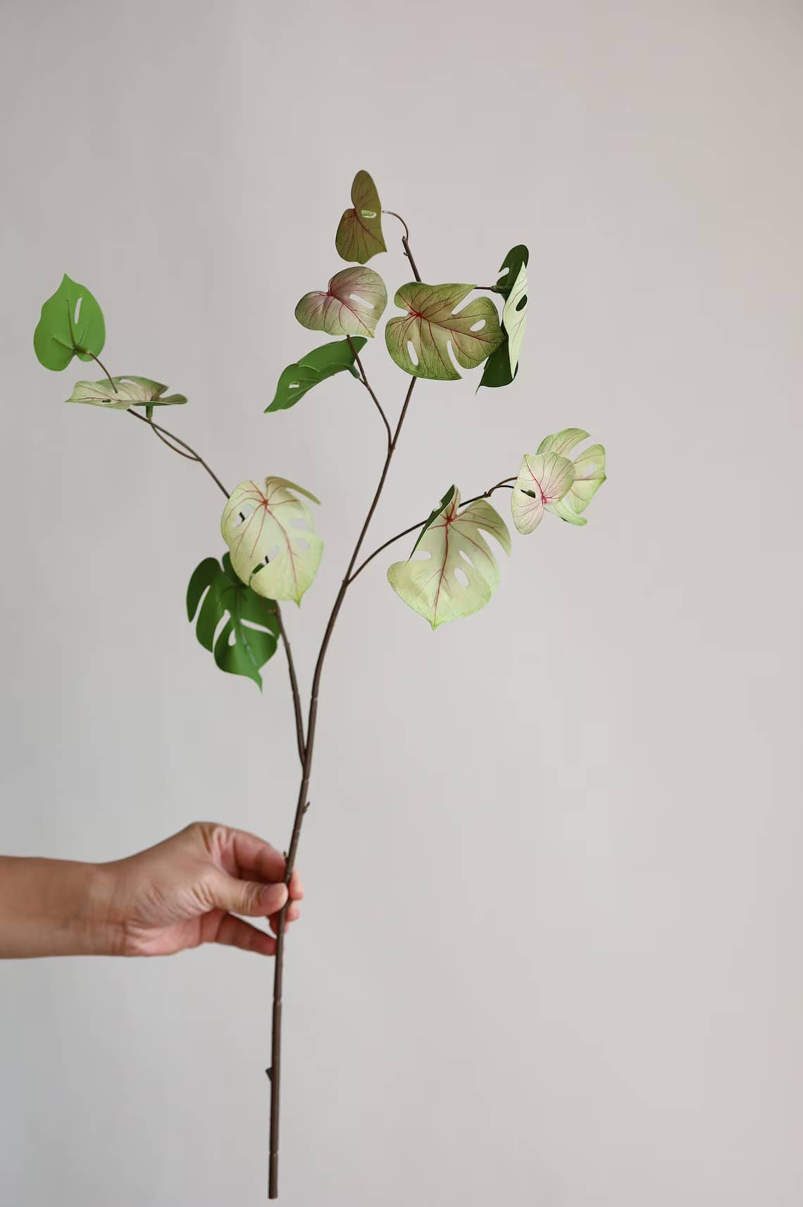 Faux Monstera Spray