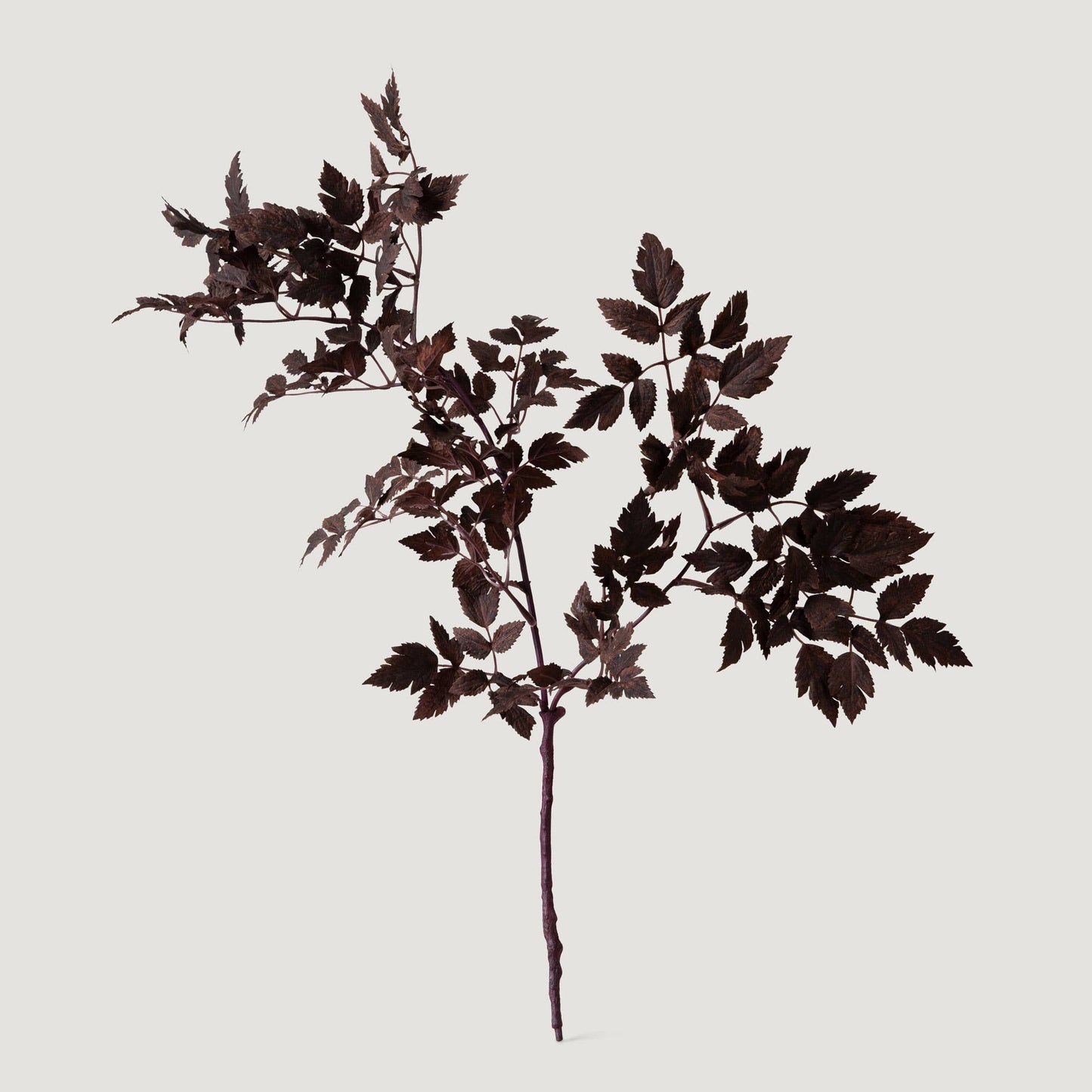 Artificial Cimicifuga Plant Leaves