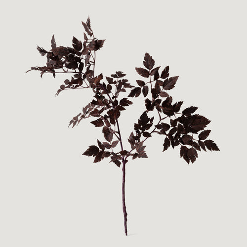 Artificial Cimicifuga Plant Leaves