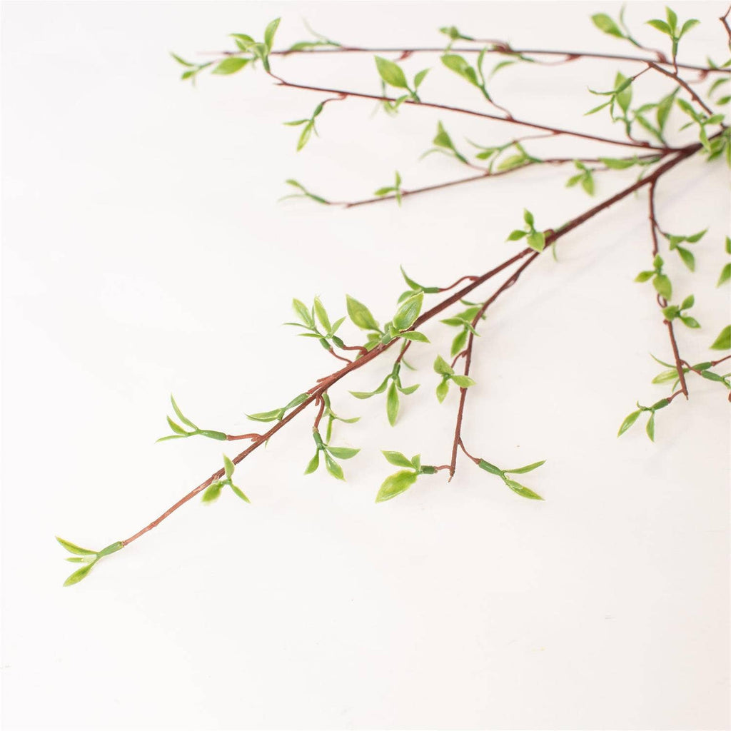 Willow Buds