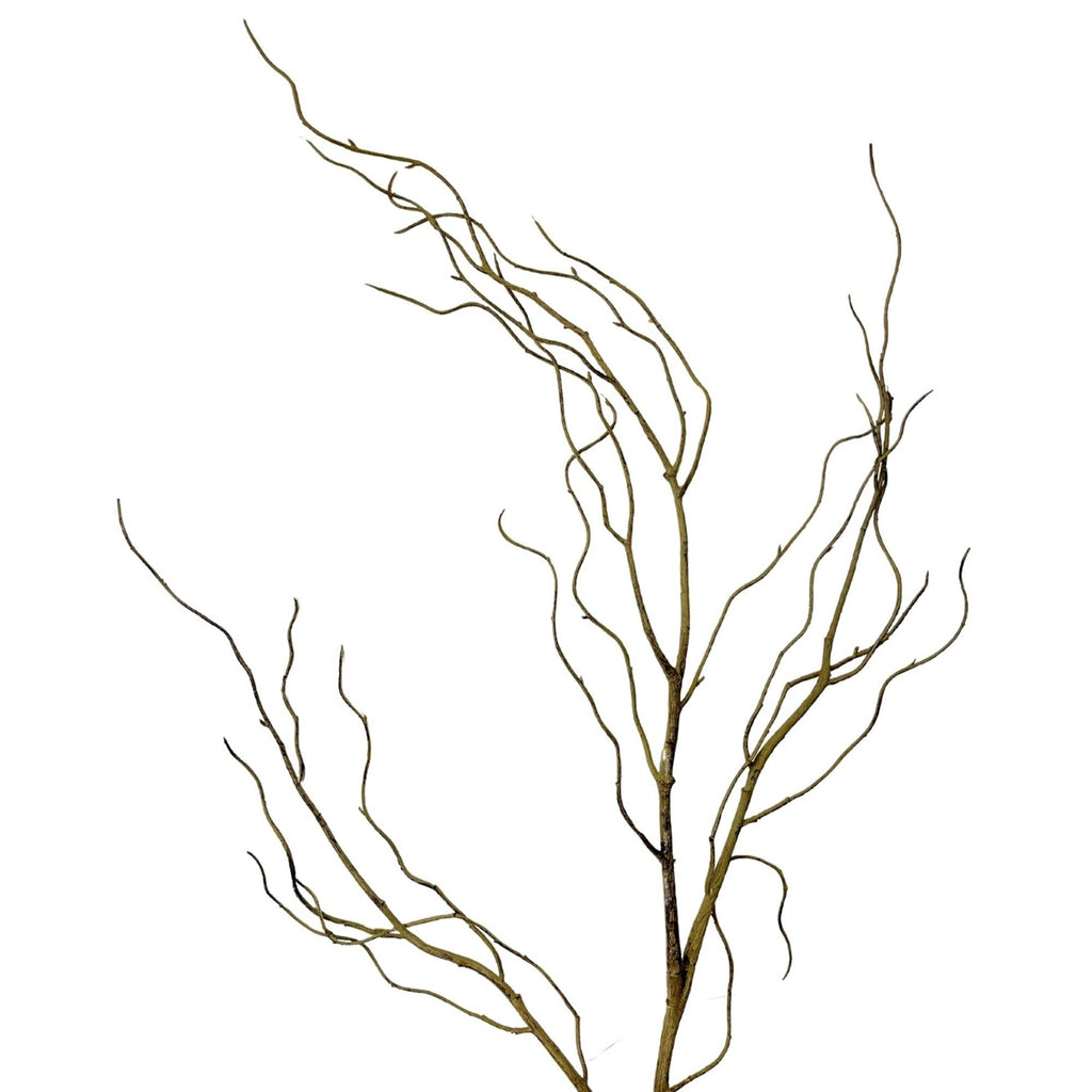 Wispy Branch Stem
