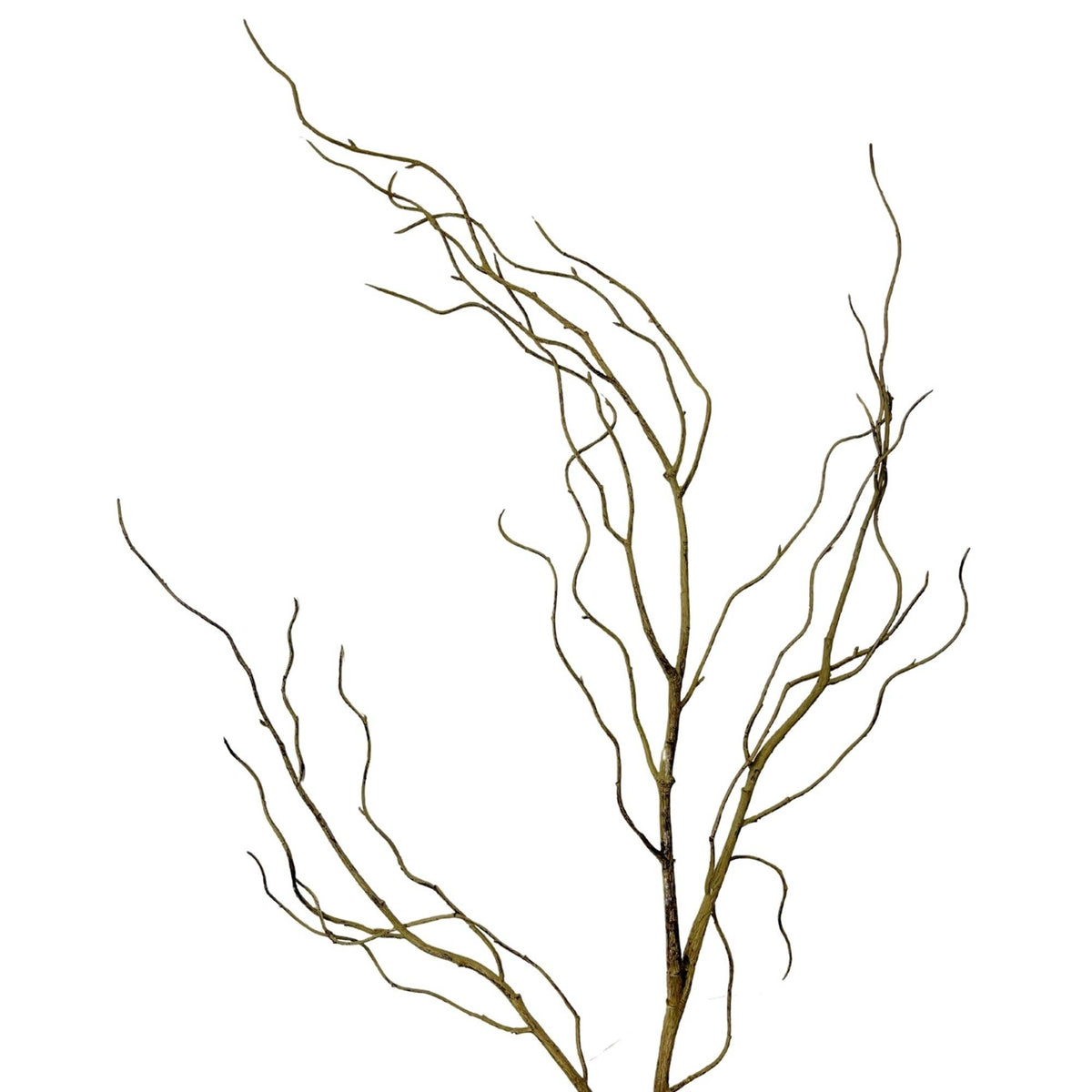 Wispy Branch Stem