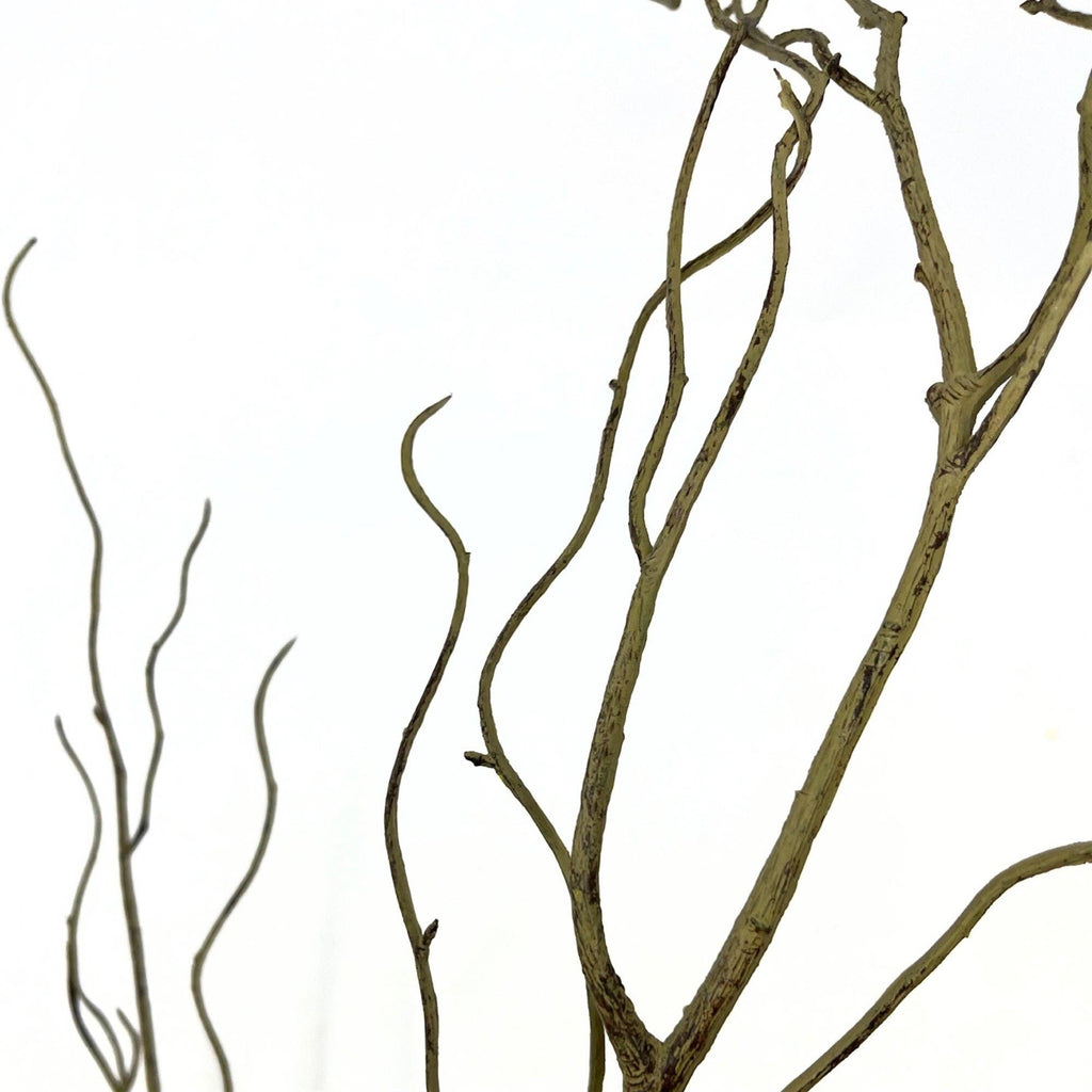 Wispy Branch Stem