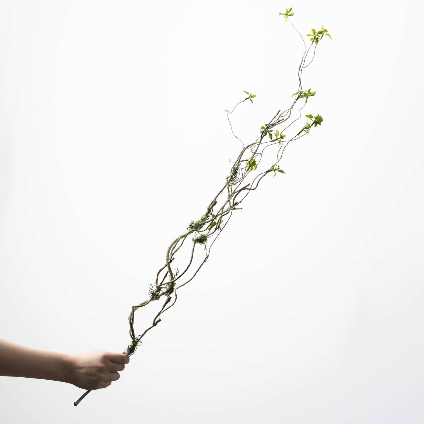 Branch And Foliage Spray