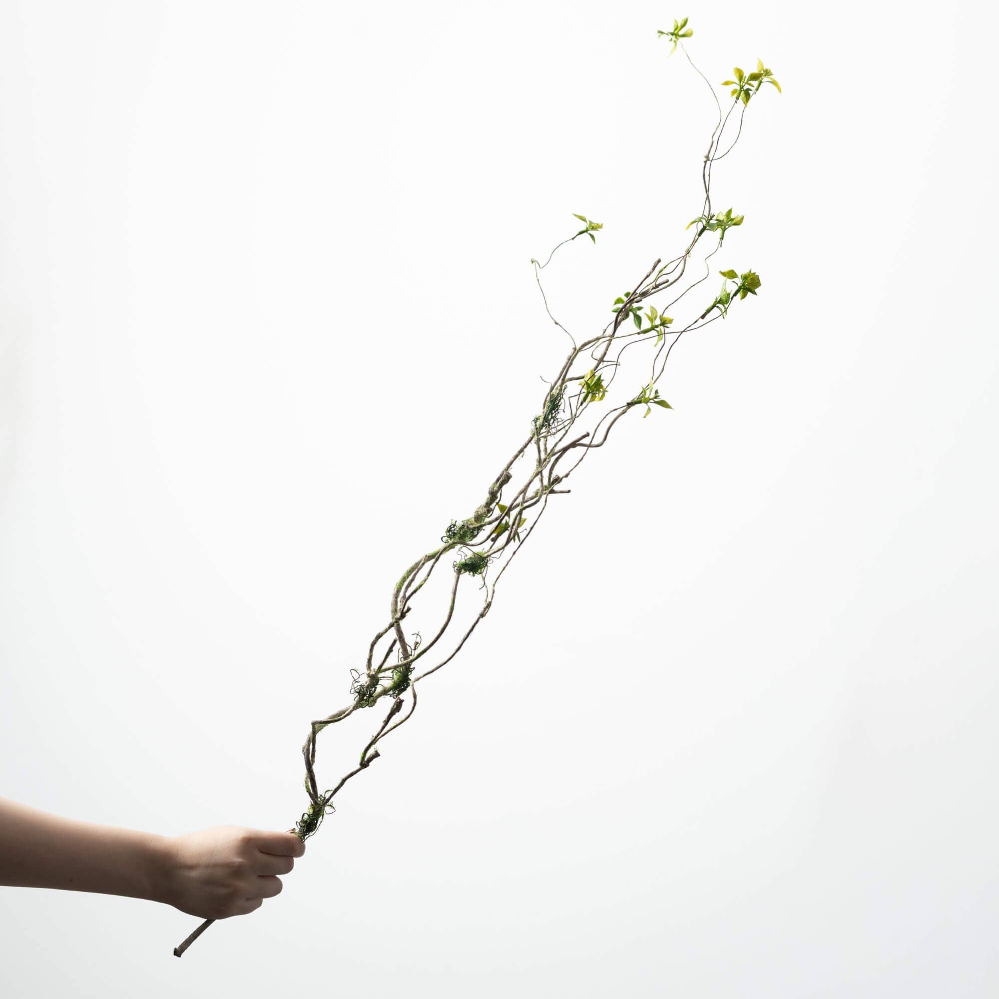 Branch And Foliage Spray