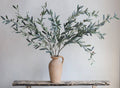 Realistic Olive Branch | Long Stem