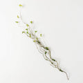 Branch And Foliage Spray