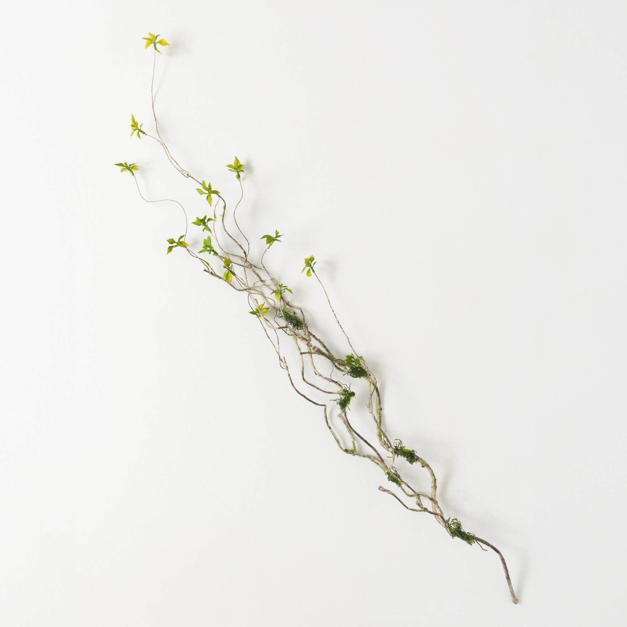 Branch And Foliage Spray