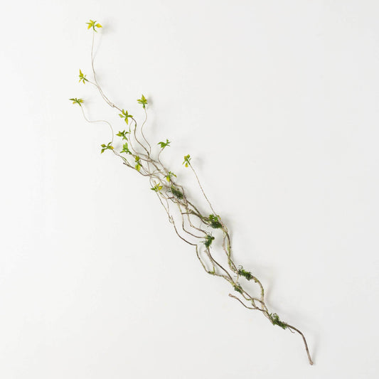 Branch And Foliage Spray
