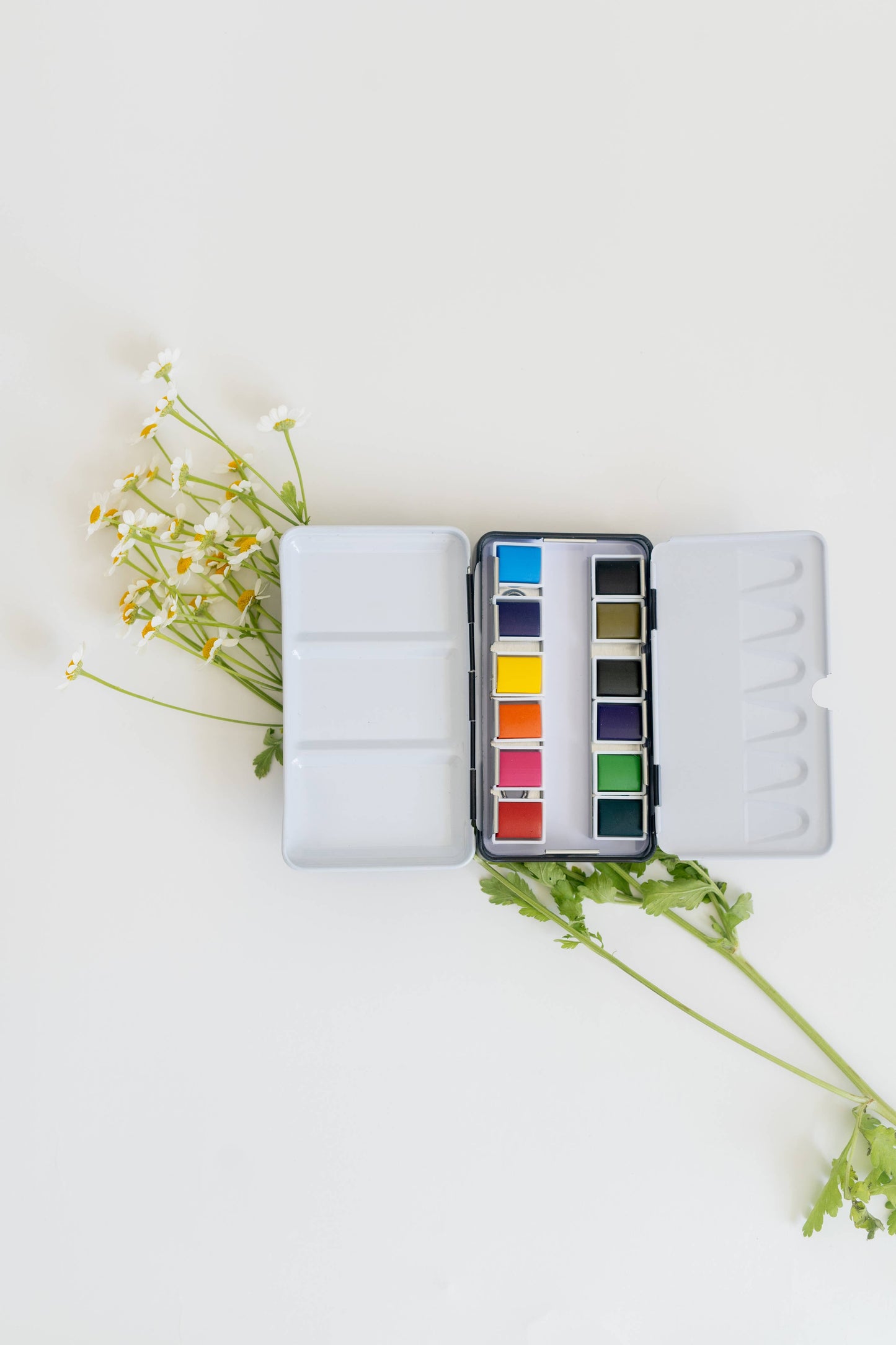 Watercolor Paint Palette