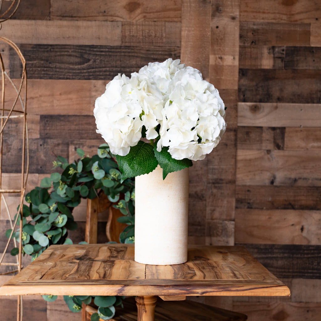 Hydrangea Ivory