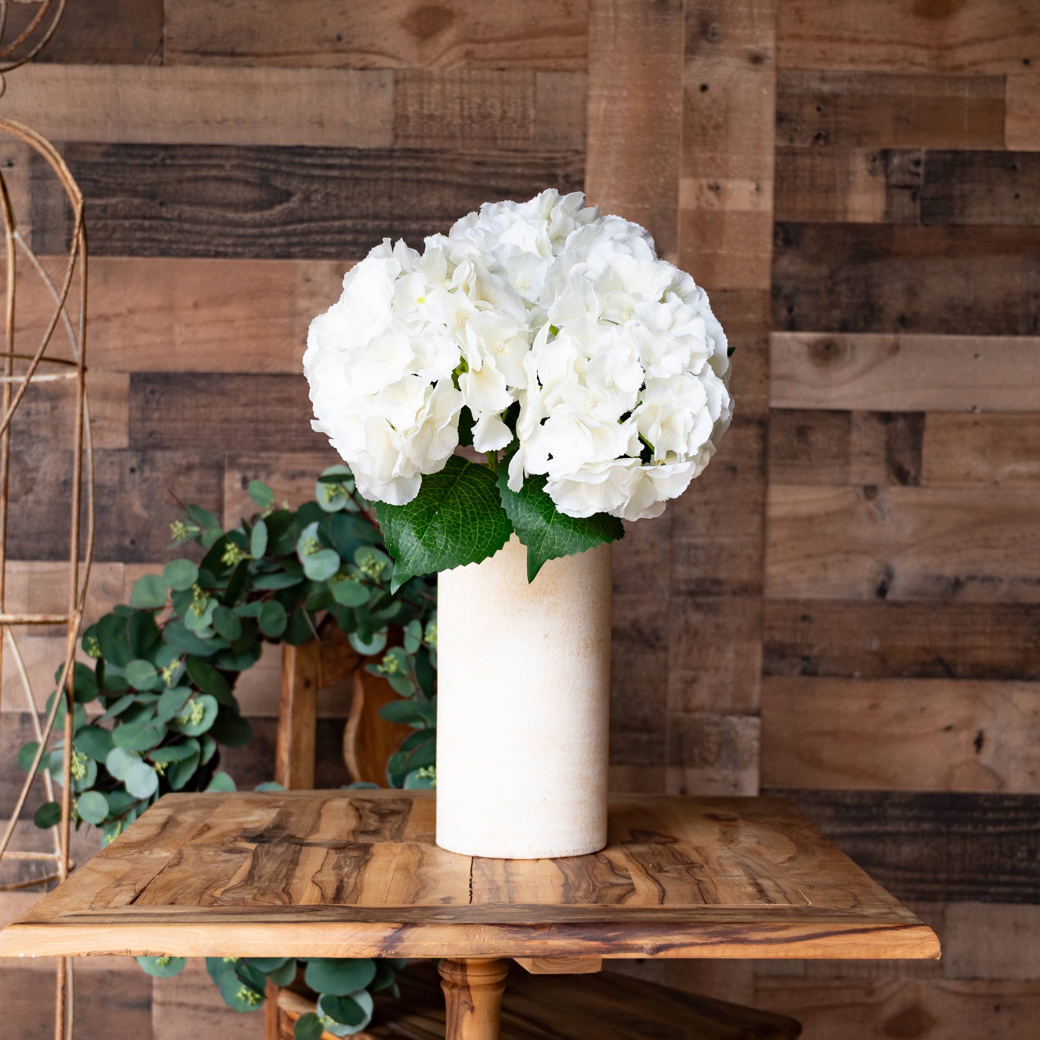 Hydrangea Ivory