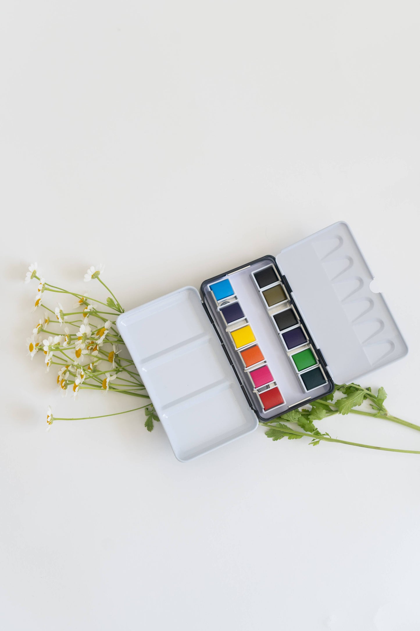 Watercolor Paint Palette