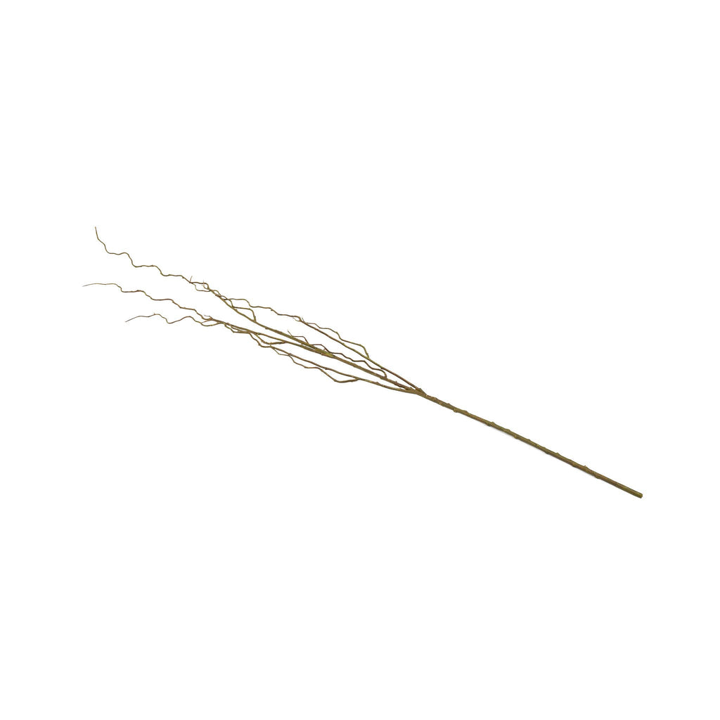 Curly Willow Branch