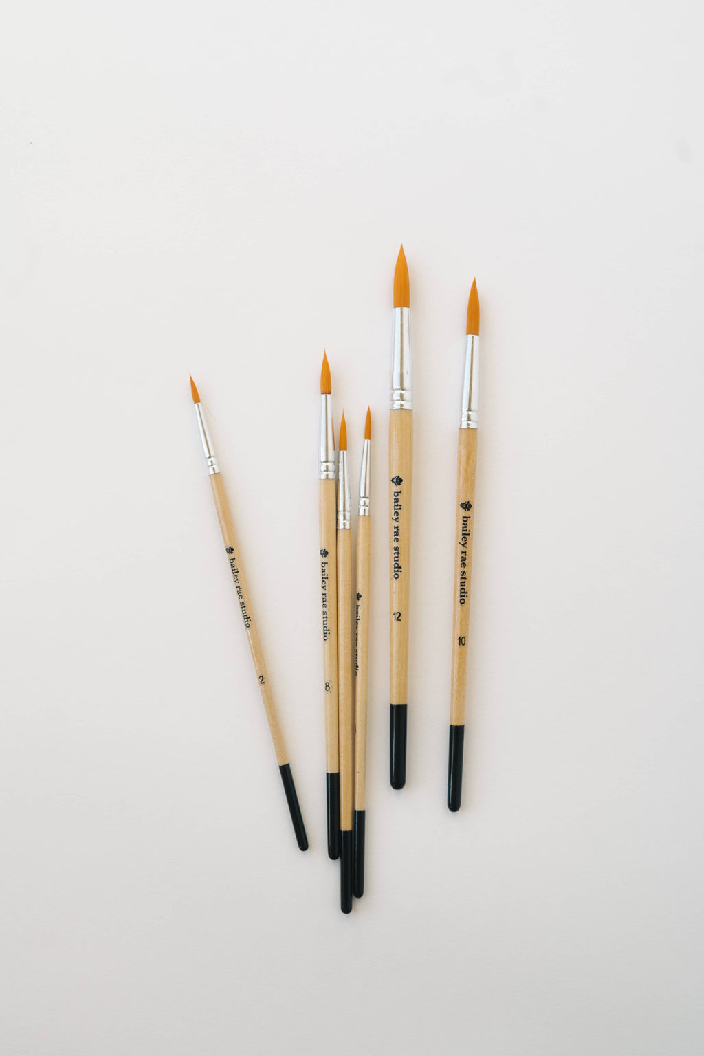 Watercolor Brush Collection