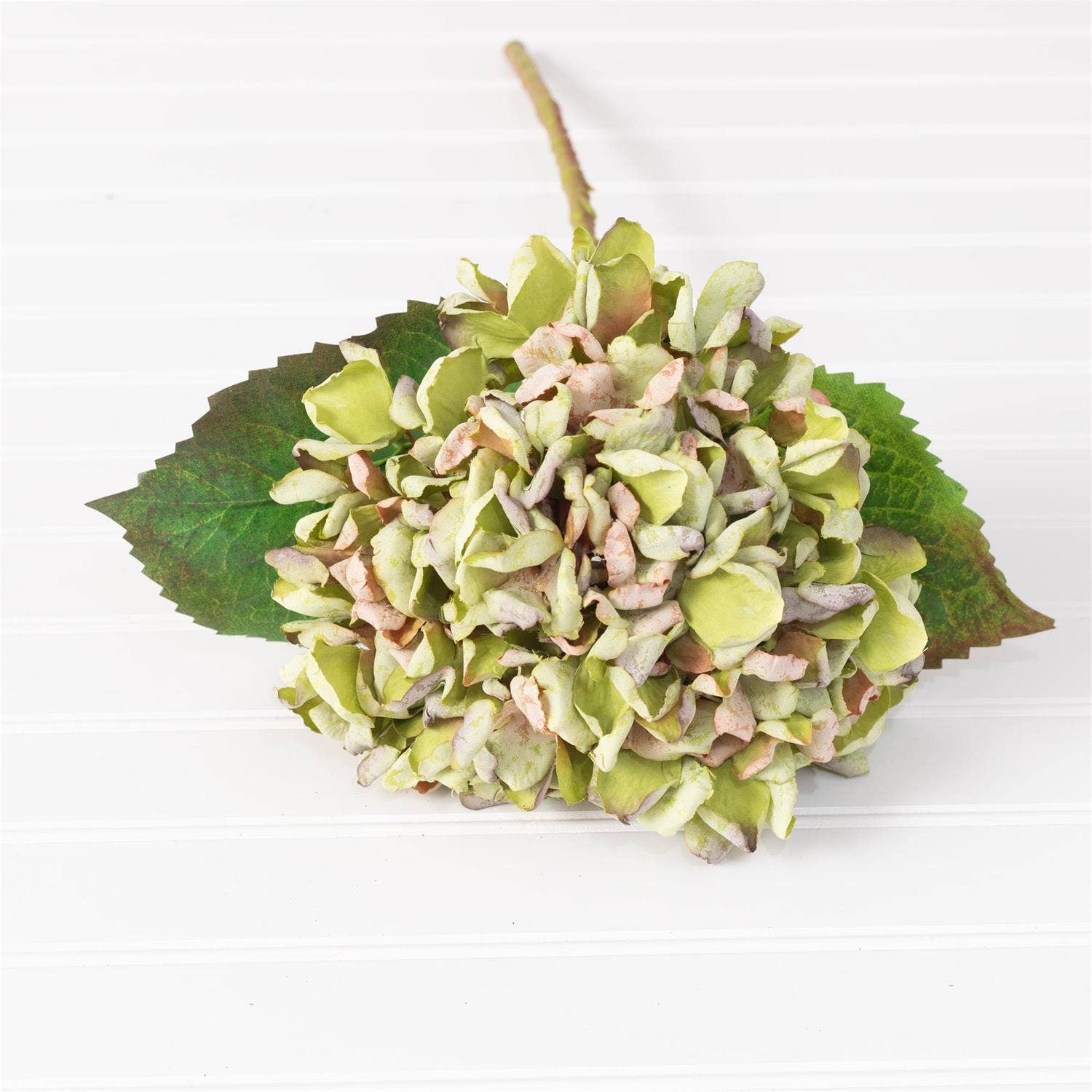 Hydrangea Green Filler